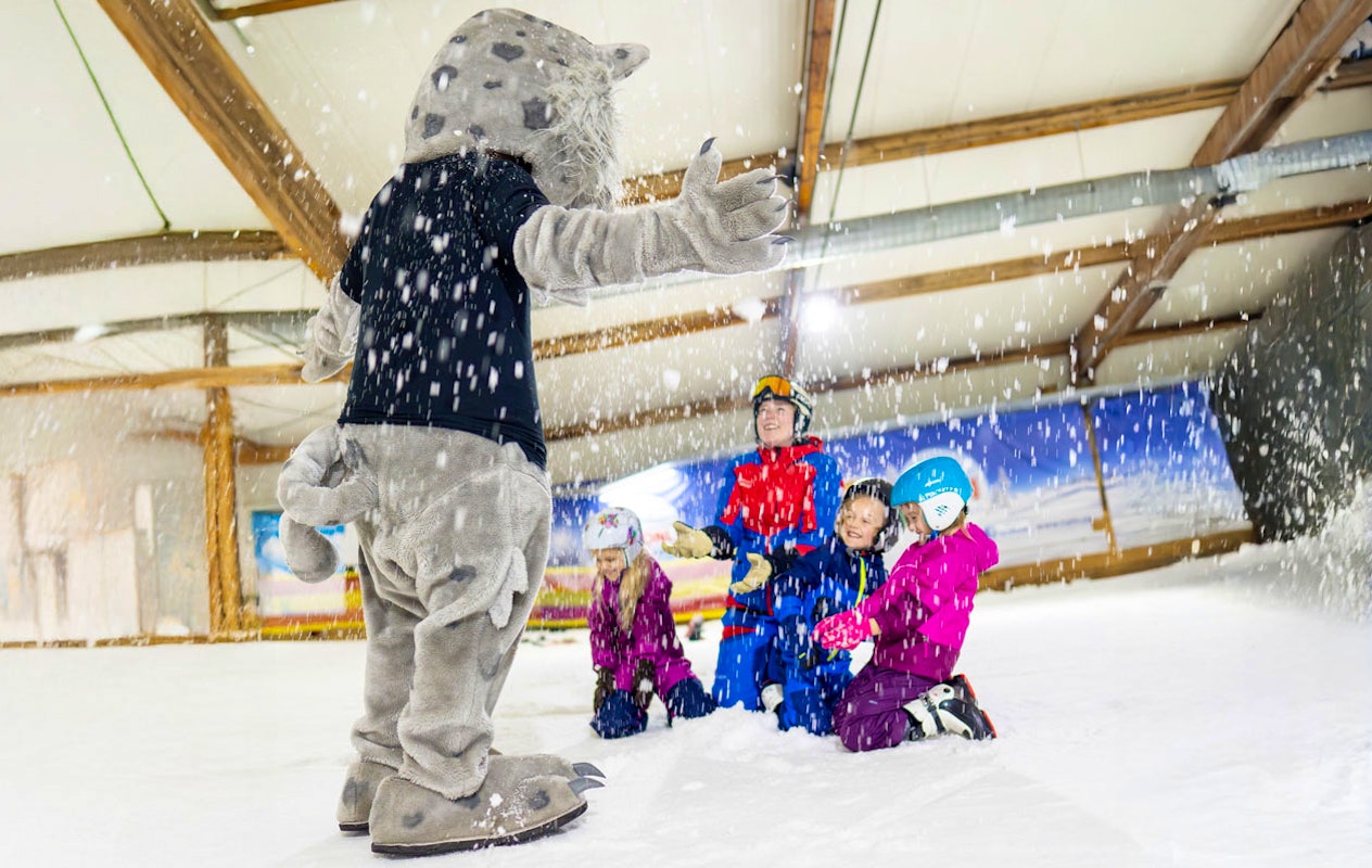 Hele dag skiën of snowboarden bij Alpincenter (2p.)