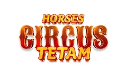 Paarden Circus Tetam