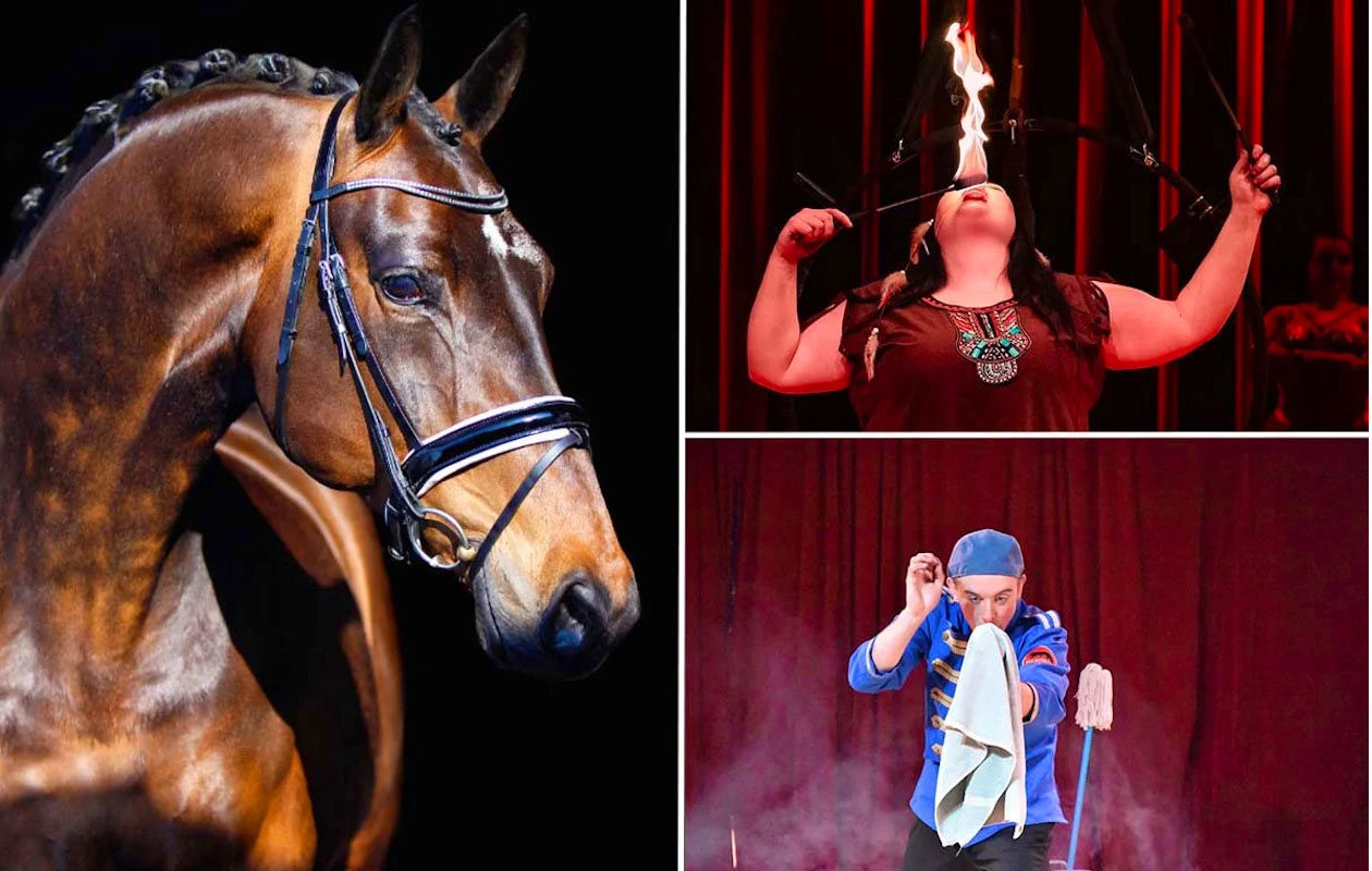 Ticket Paarden Circus Tetam in Antwerpen (2p.)