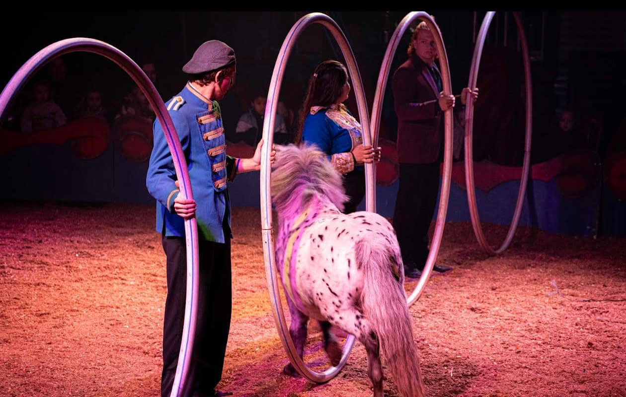 Ticket Paarden Circus Tetam in Antwerpen (2p.)