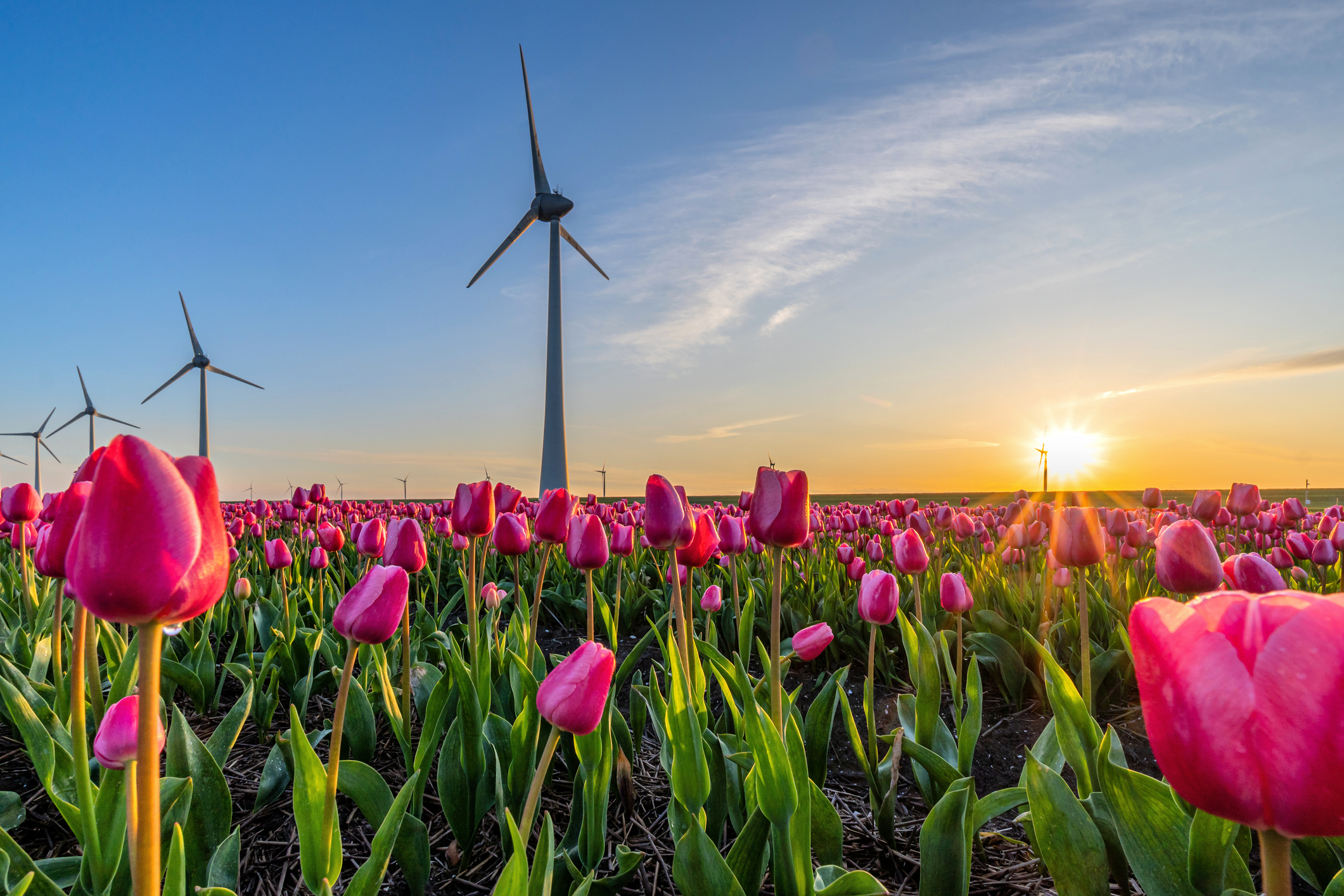 Dagje uit in Flevoland voor jong en oud