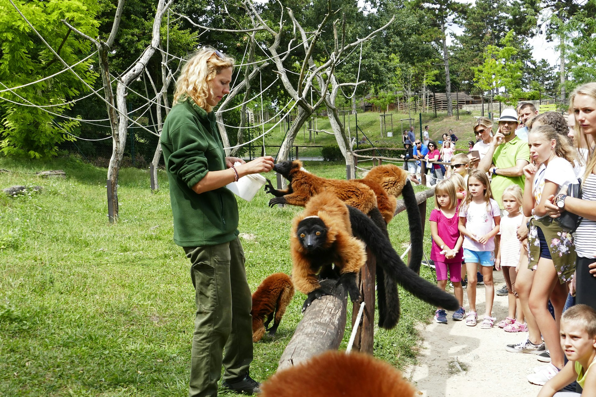 De leukste dierentuinen in Nederland met korting
