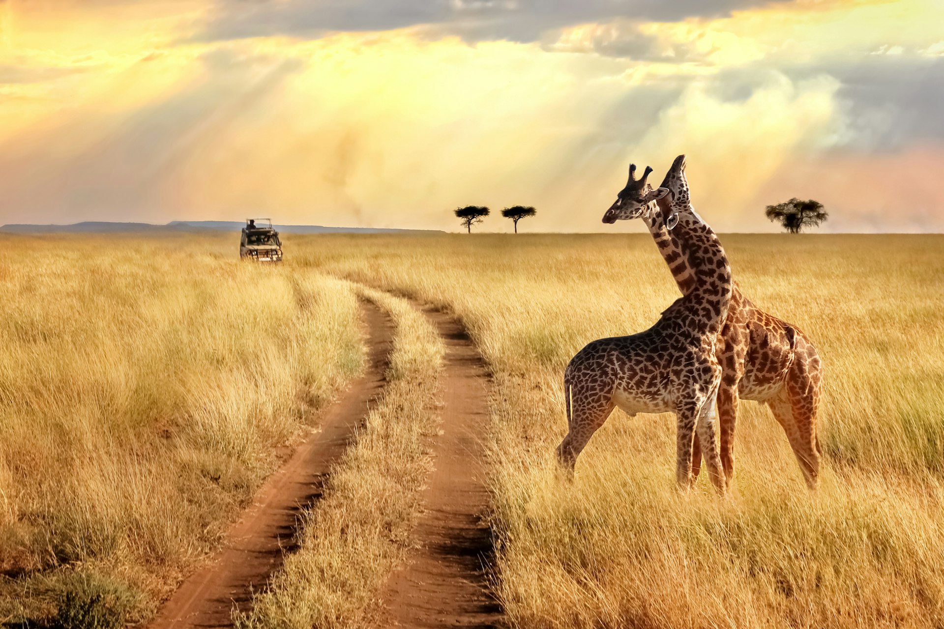 Dierenplezier in het Serengeti-Park