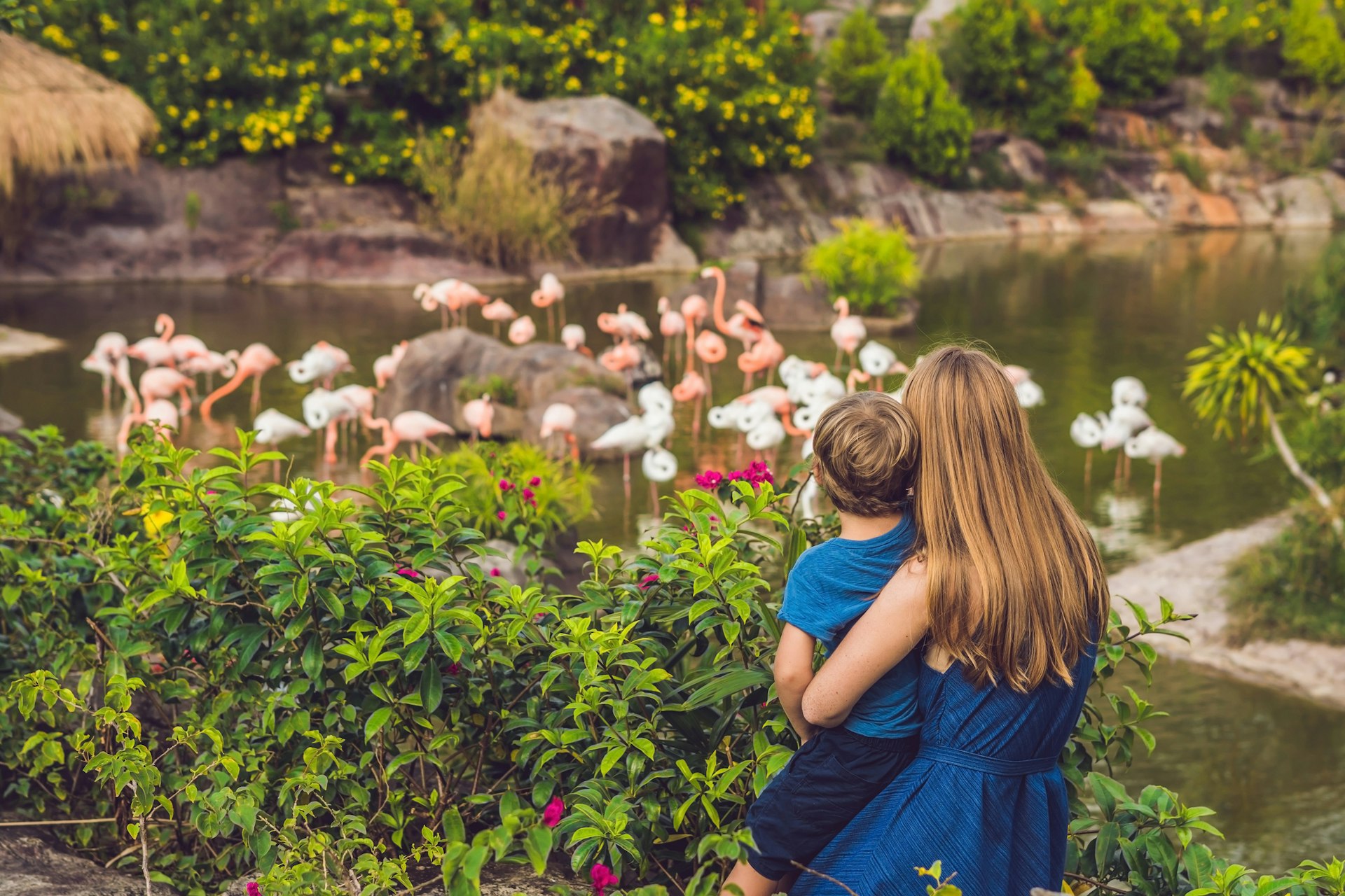  Dierentuin tips voor kinderen: Avontuur voor het hele gezin!
