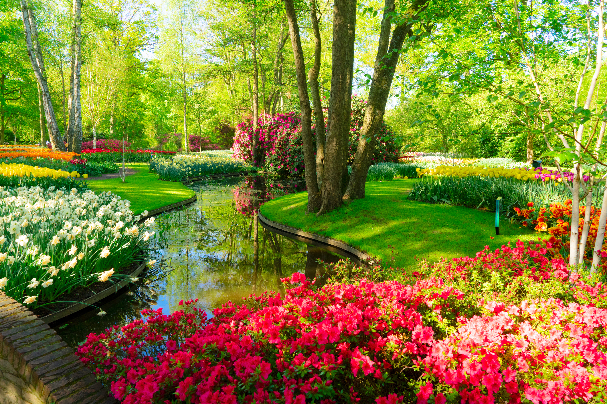 Een dagje uit naar Keukenhof