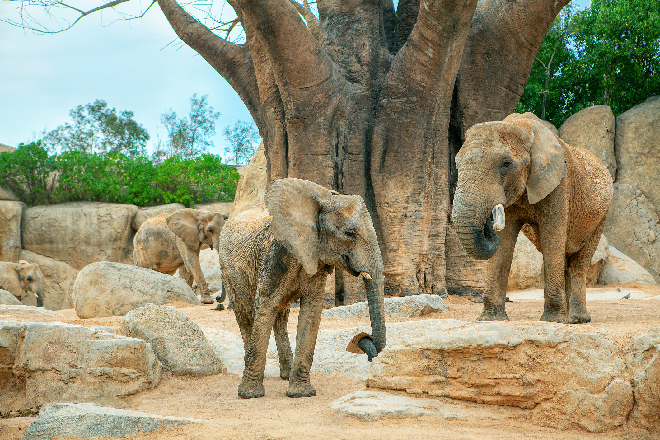 Een dagje uit naar Ouwehands Dierenpark