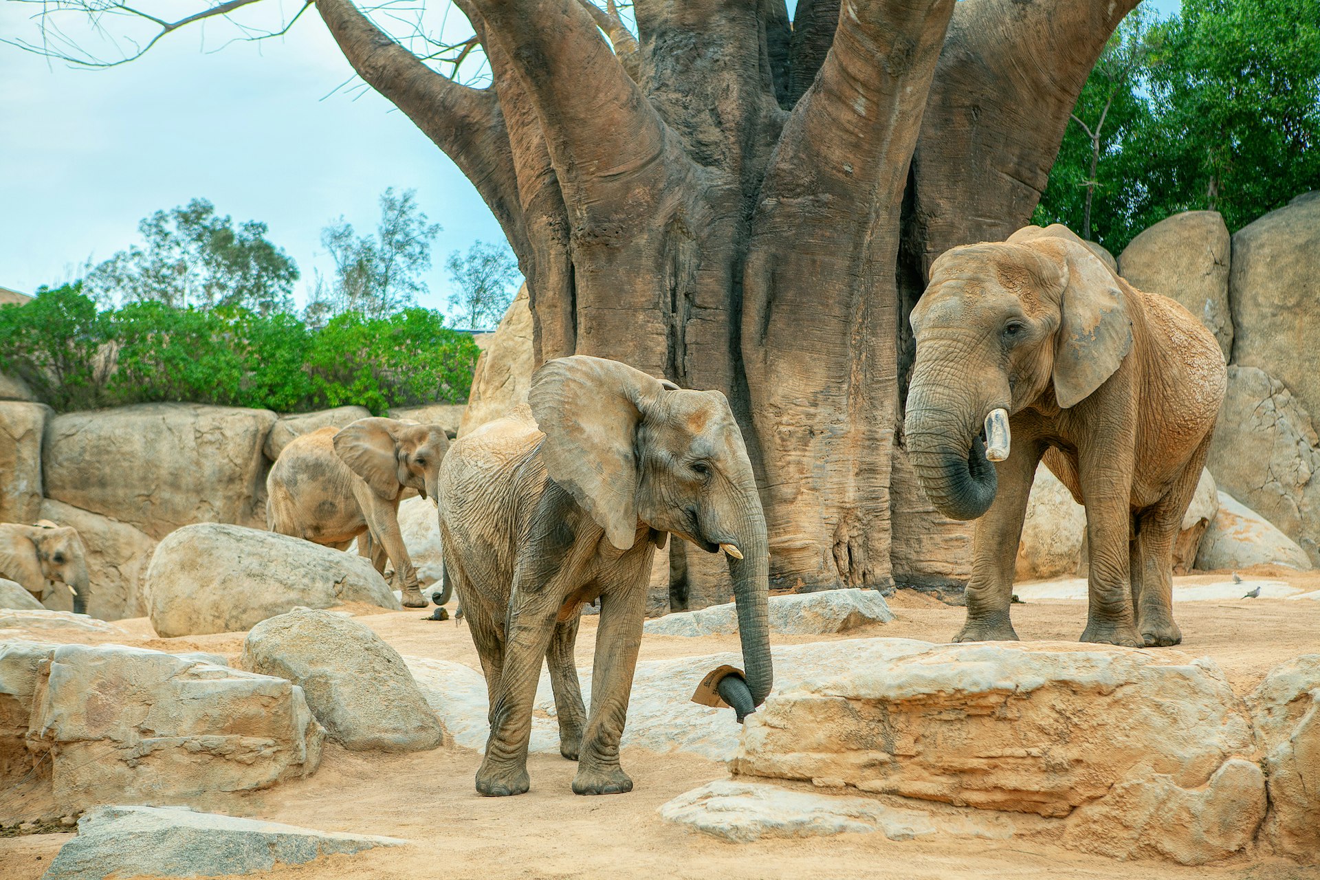 Een dagje uit naar Ouwehands Dierenpark