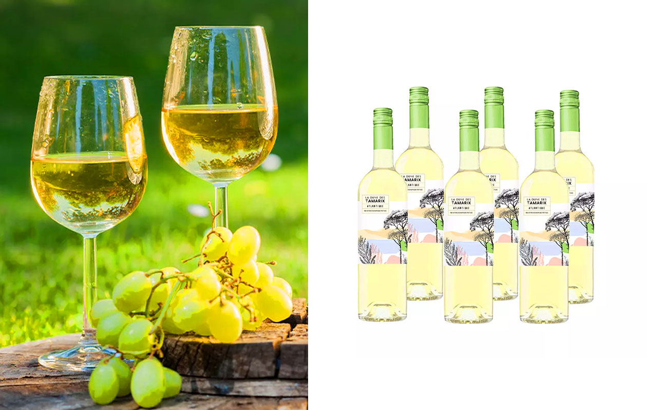 6 flessen Atlantique Sauvignon Blanc (750 ml)