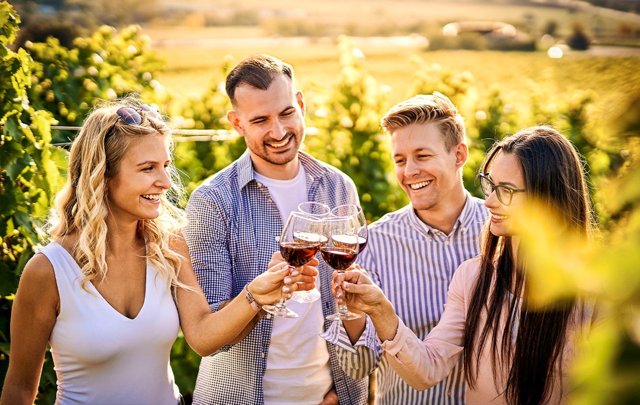 Dégustation de vin au choix avec De Kasteelhoeve