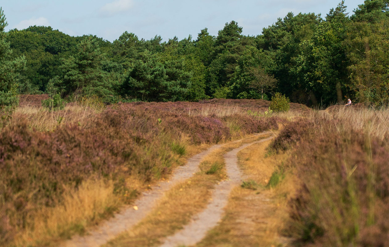 Wandeling en wijnproeverij bij De Kasteelhoeve (4p.)