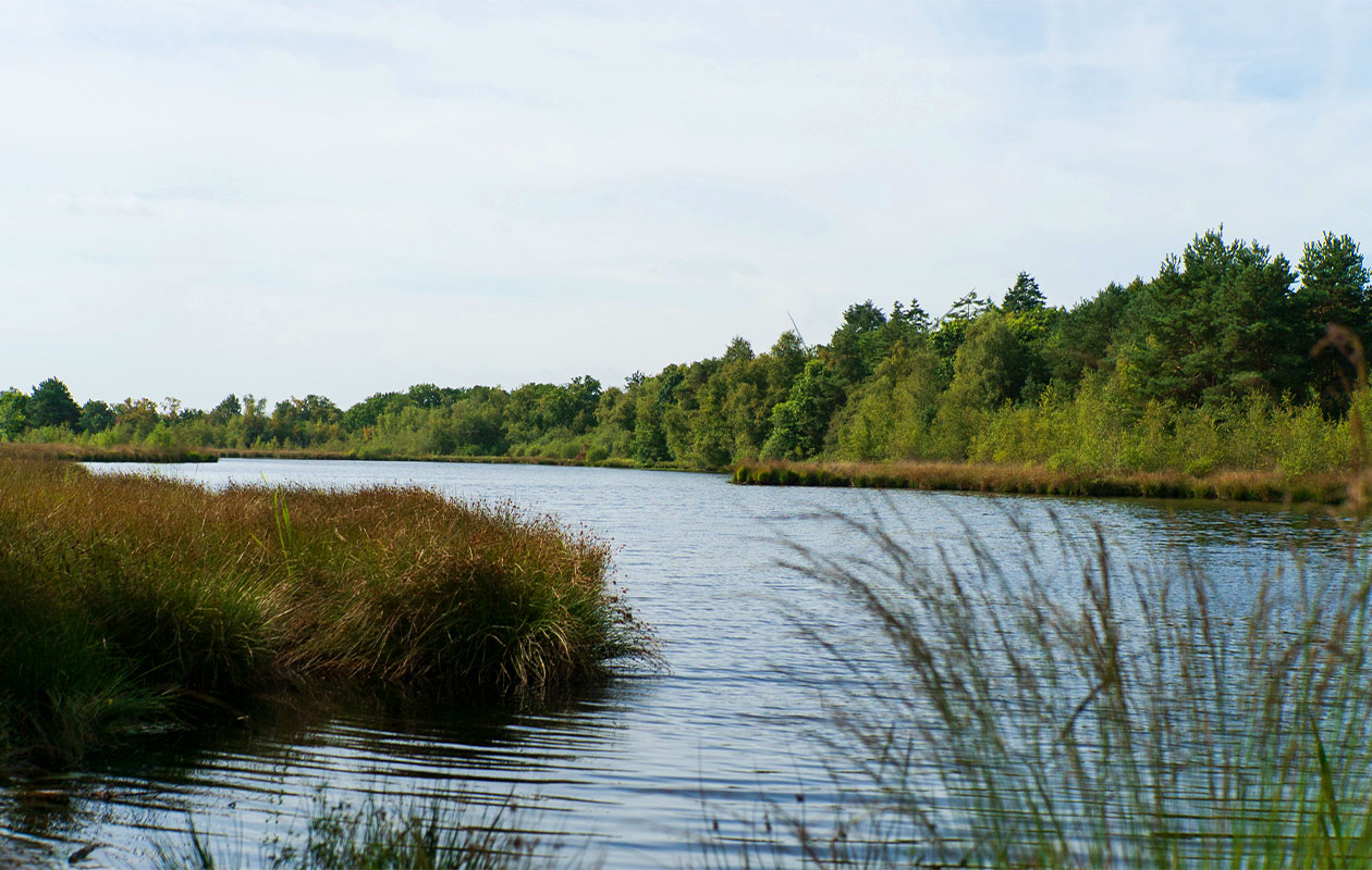 Wandeling en wijnproeverij bij De Kasteelhoeve (4p.)