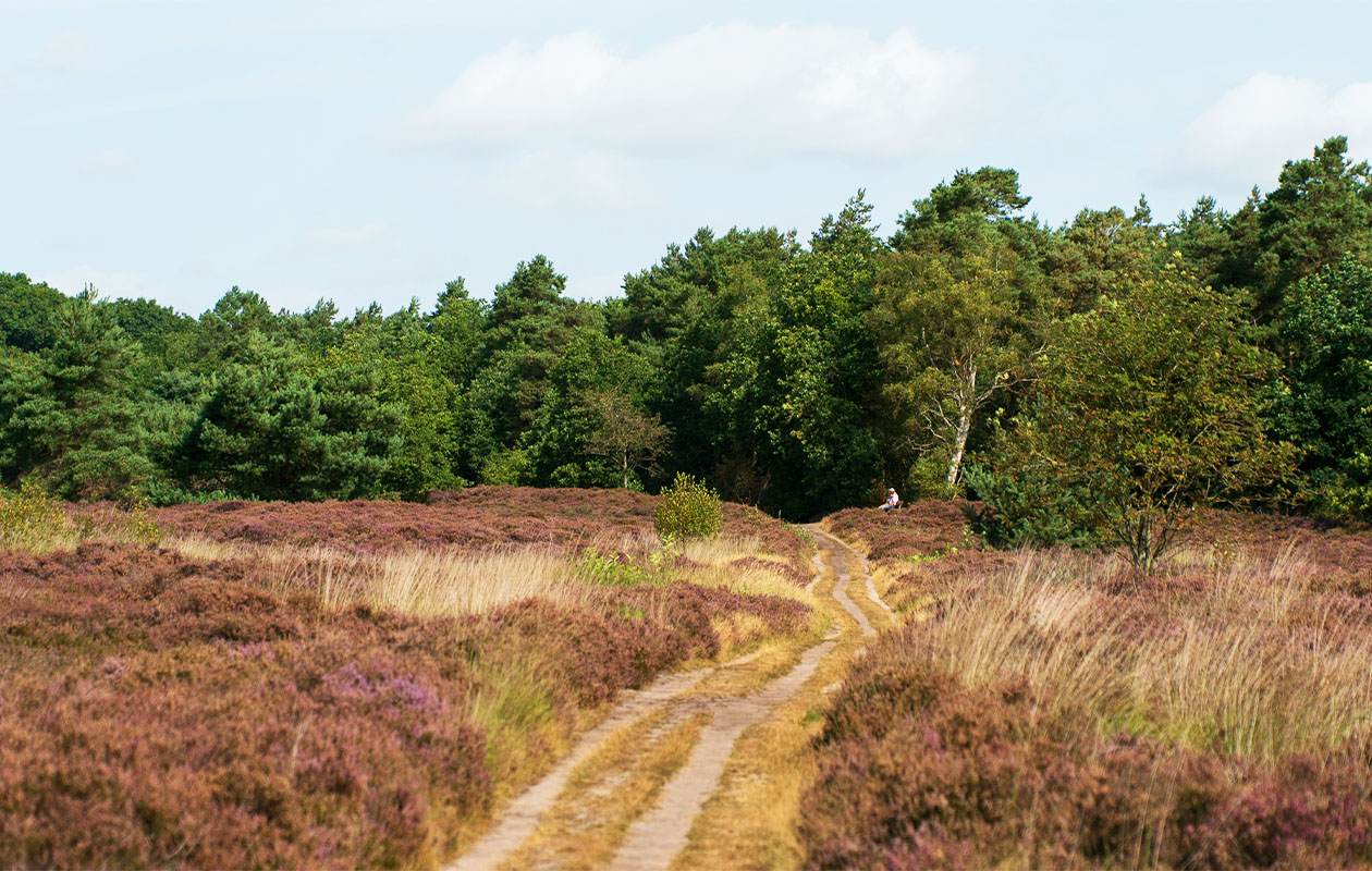 Wandeling en wijnproeverij bij De Kasteelhoeve (4p.)