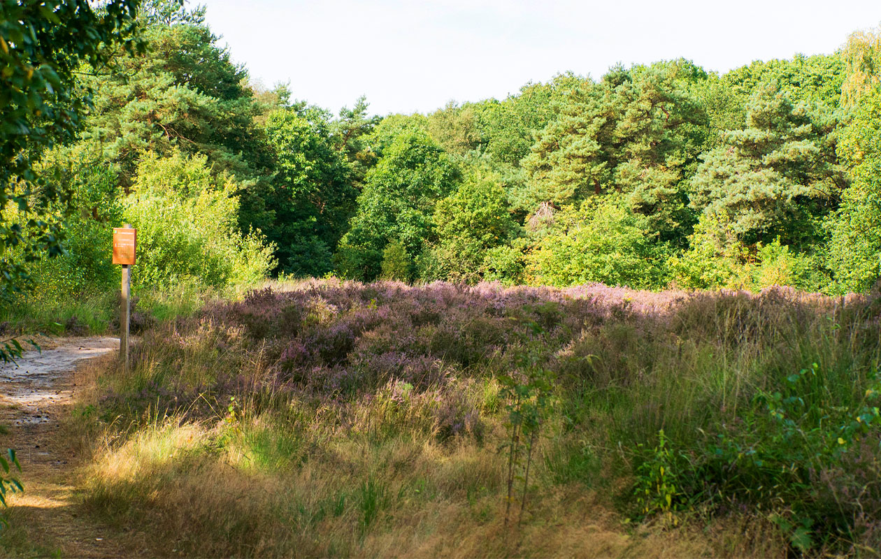 Wandeling en wijnproeverij bij De Kasteelhoeve (4p.)