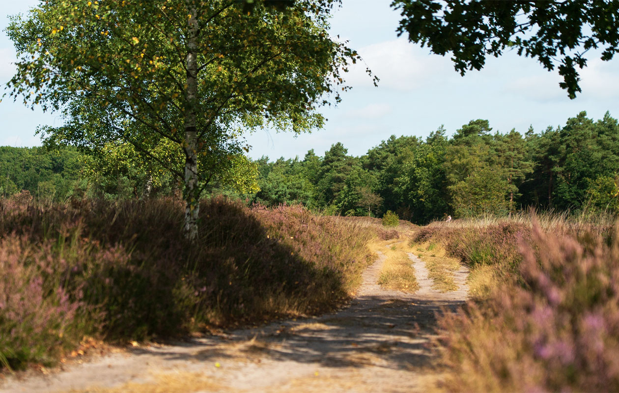 Wandeling en wijnproeverij bij De Kasteelhoeve (4p.)