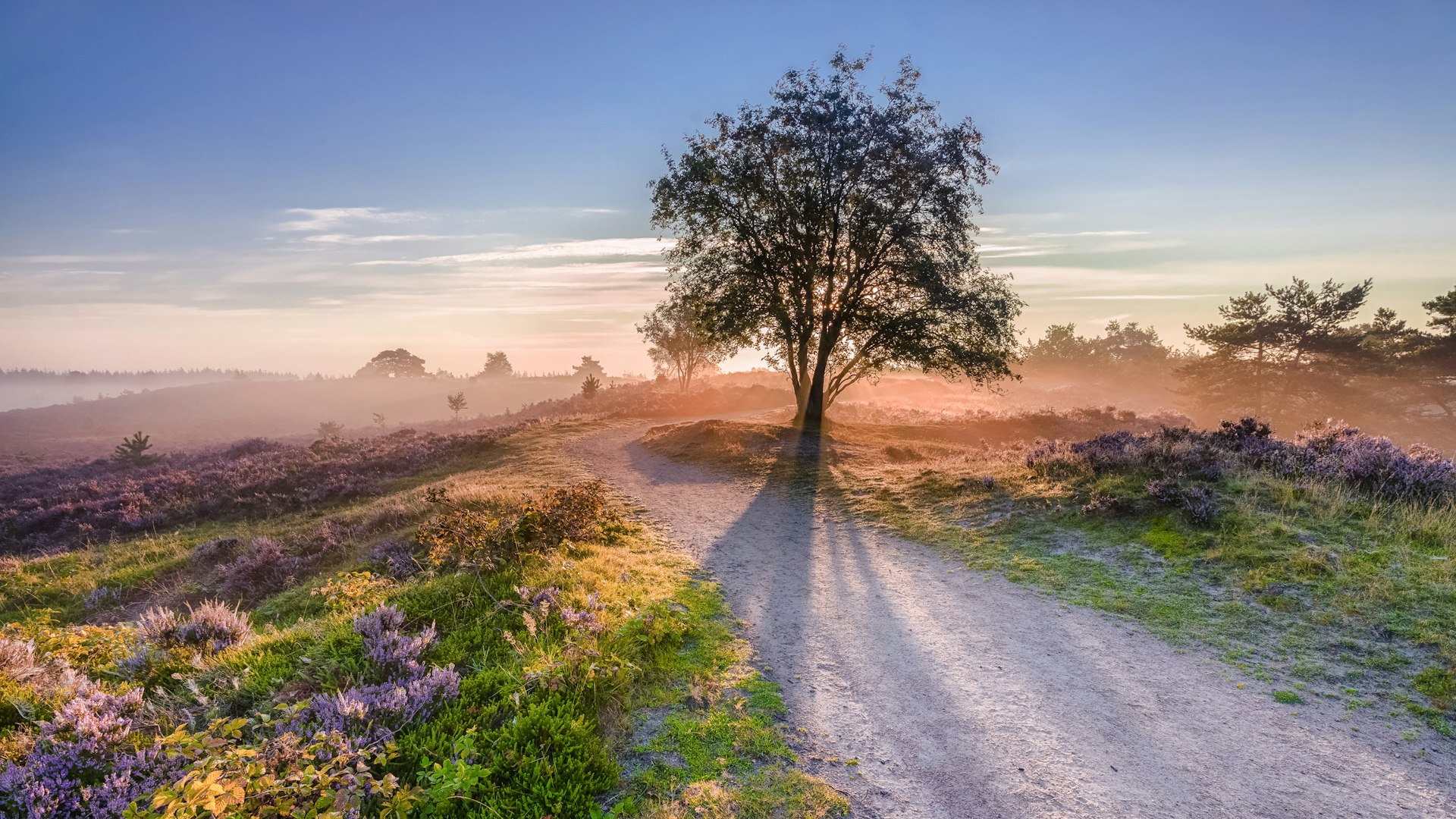 Gelderland beleven: dagjes uit voor iedereen