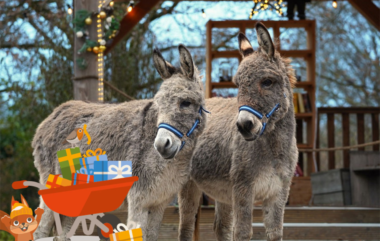 Verblijf in een Bungalow Fazant op Vakantiepark Dierenbos (4p.)