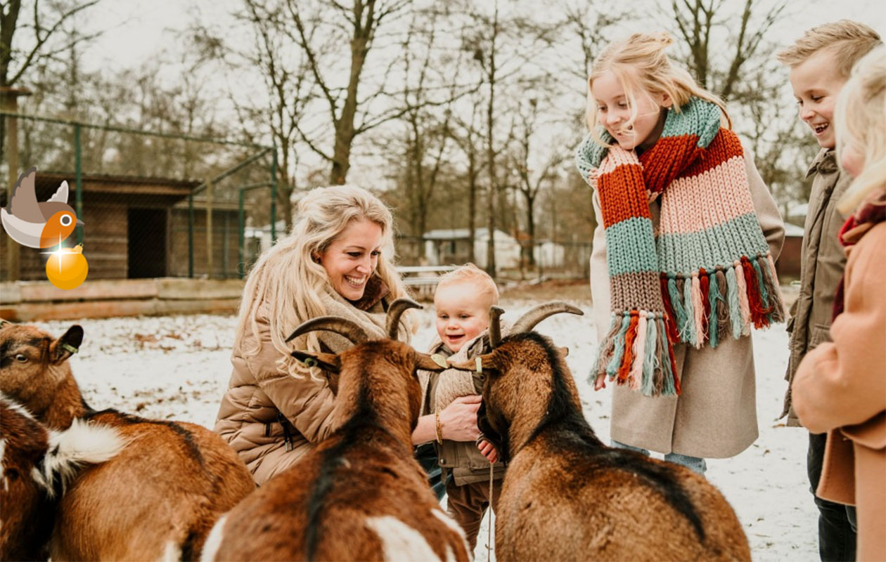 Verblijf in een Bungalow Fazant op Vakantiepark Dierenbos (4p.)