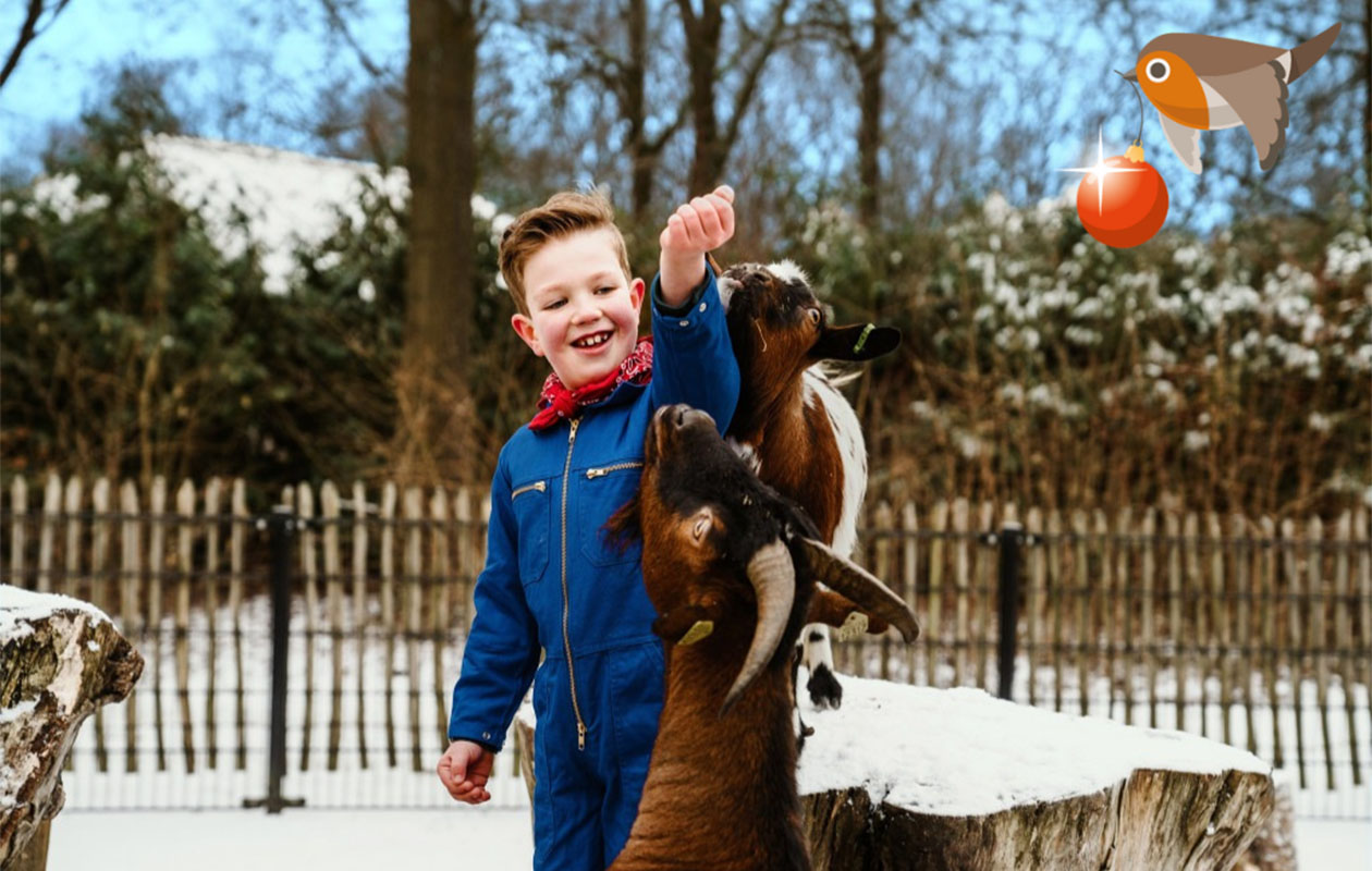 Verblijf in een Bungalow Fazant op Vakantiepark Dierenbos (4p.)