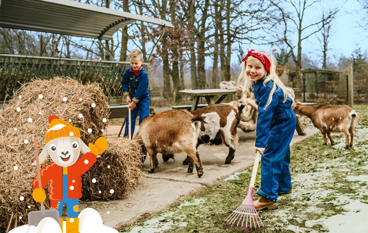 Verblijf in een Bungalow Fazant op Vakantiepark Dierenbos (4p.)