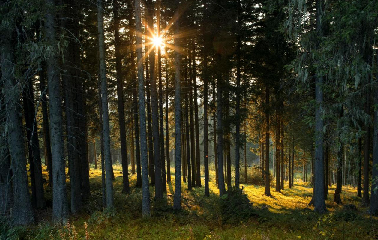 Ontdek de Alpen met 3 hotelovernachtingen in Oostenrijk (2p.)