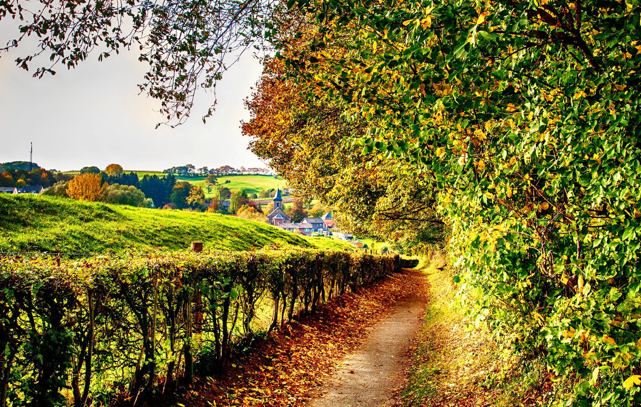 Hotelovernachting bij Parkhotel Valkenburg incl. wellness (2p.)