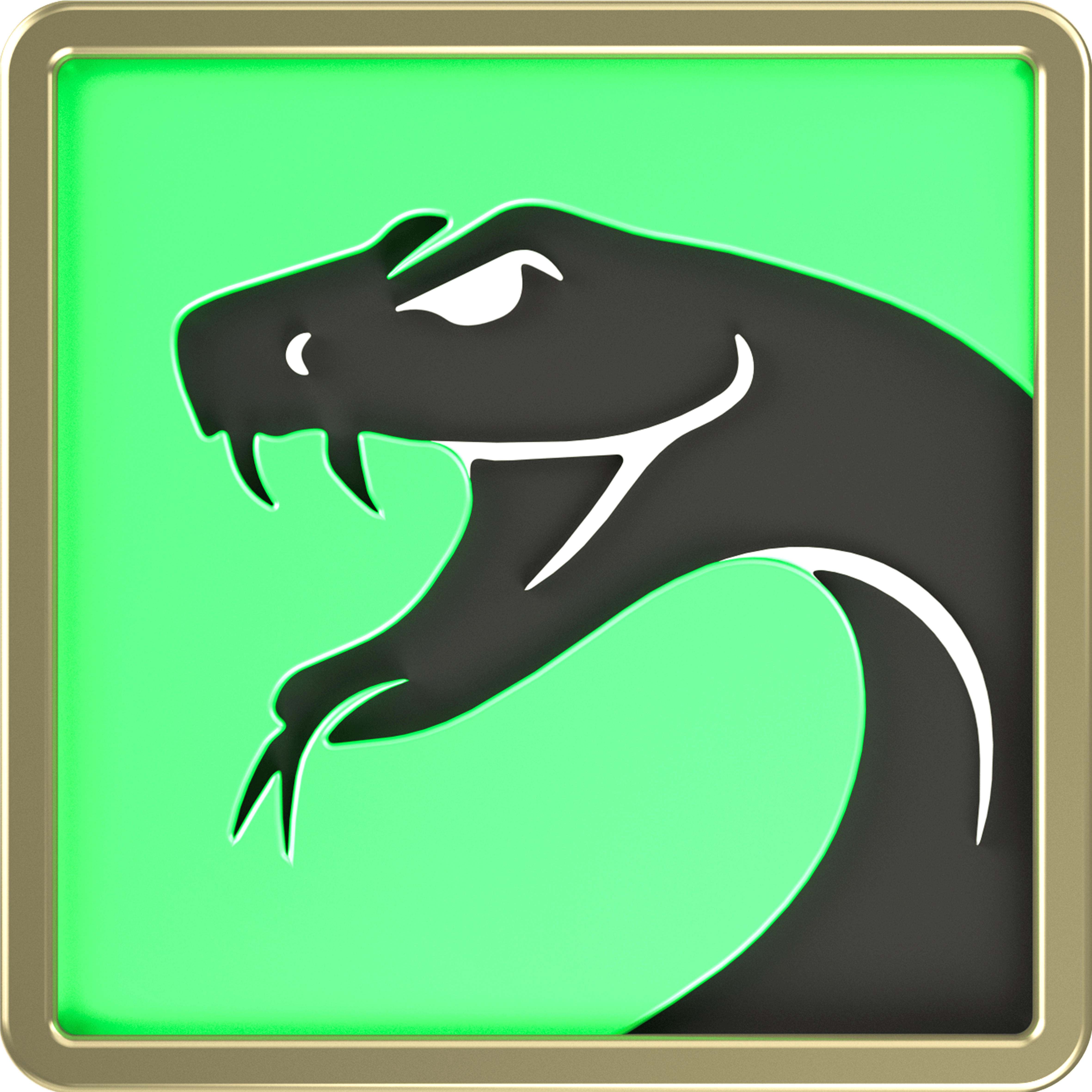 Overnachting bij B&B De Bondgenoten | Team De Slangen (1p.)