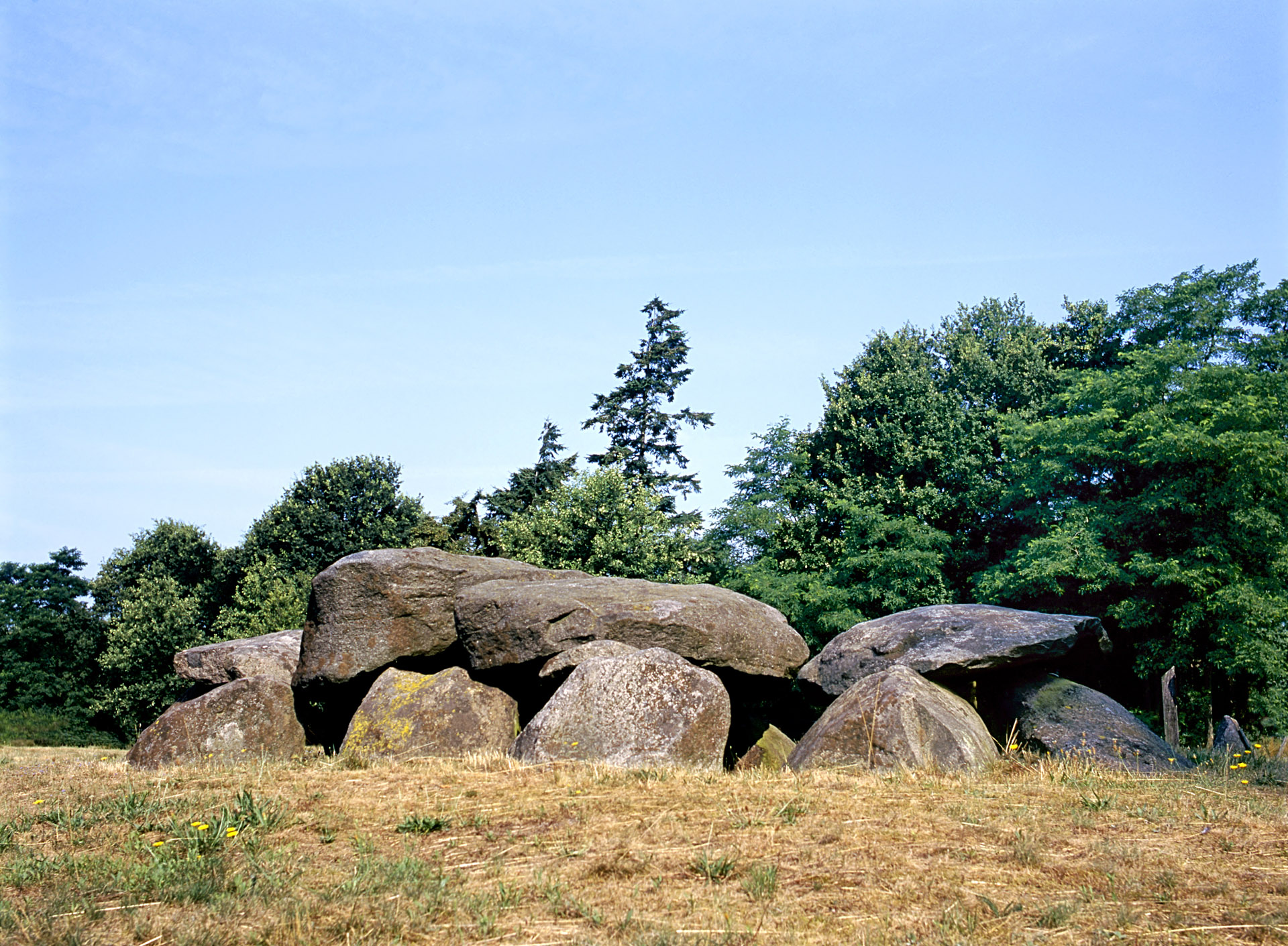 Museum Hunebedden Assen