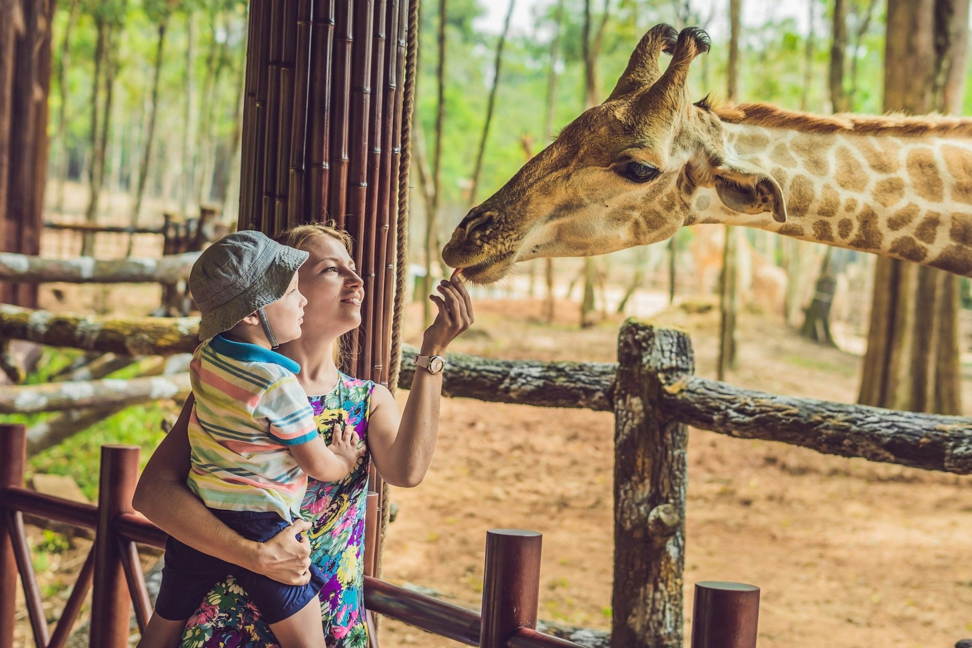Le Monde Sauvage d’Aywaille : un safari exotique au cœur de la Belgique