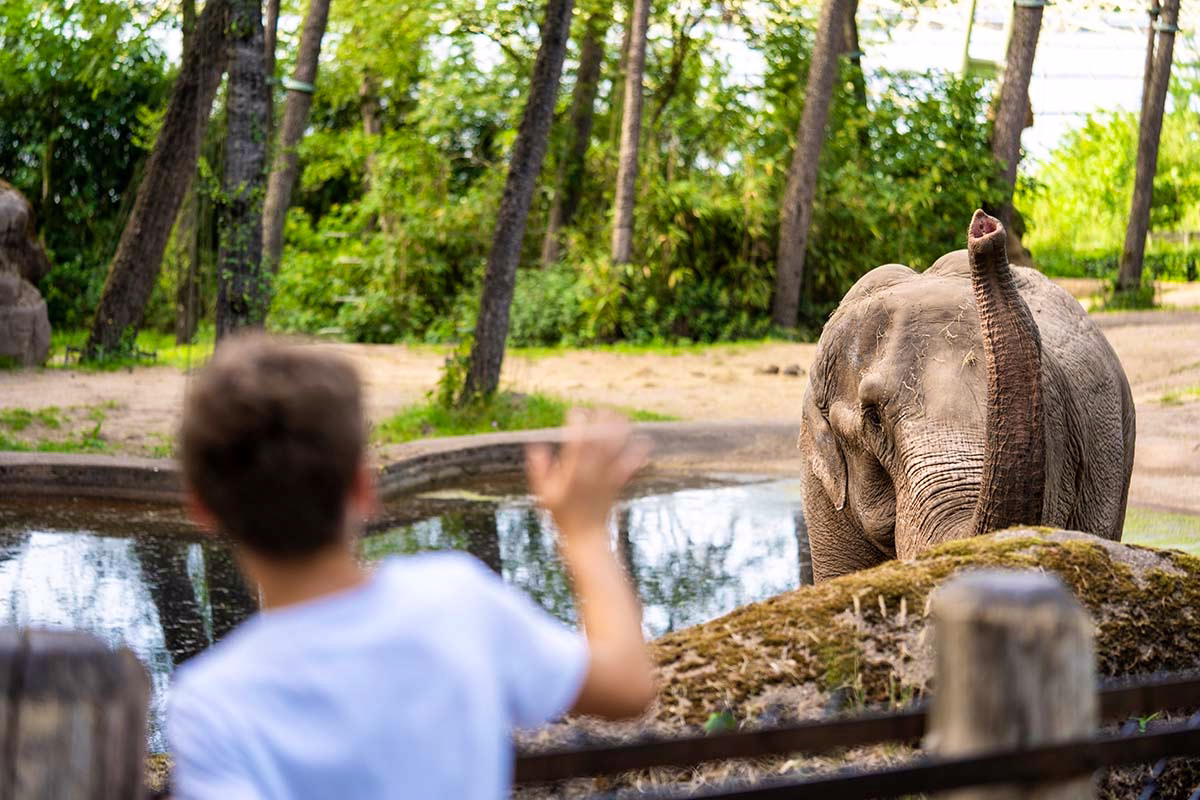 Naar de dierentuin bij Burgers' Zoo