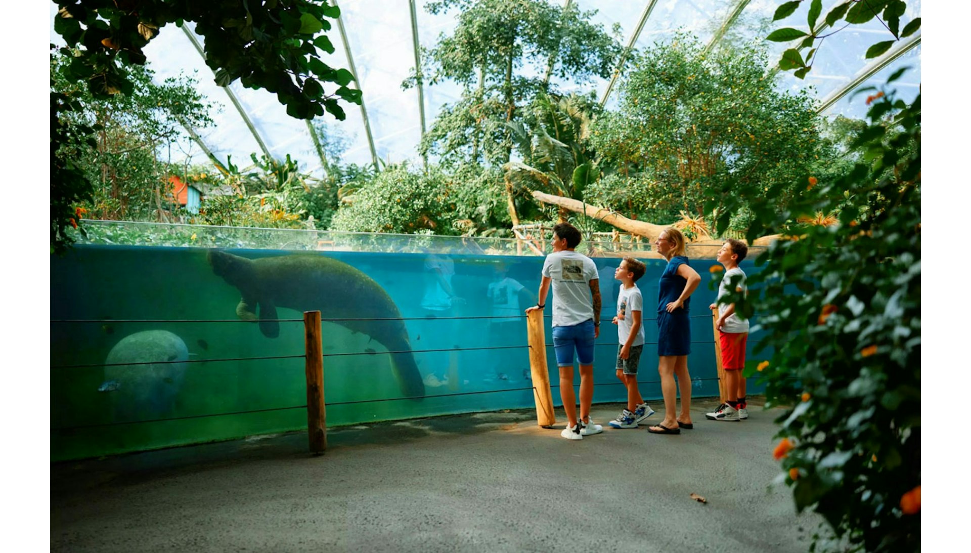 Naar de dierentuin bij Burgers' Zoo