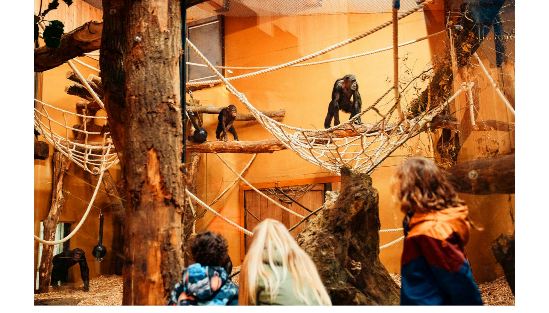 Op avontuur in DierenPark Amersfoort