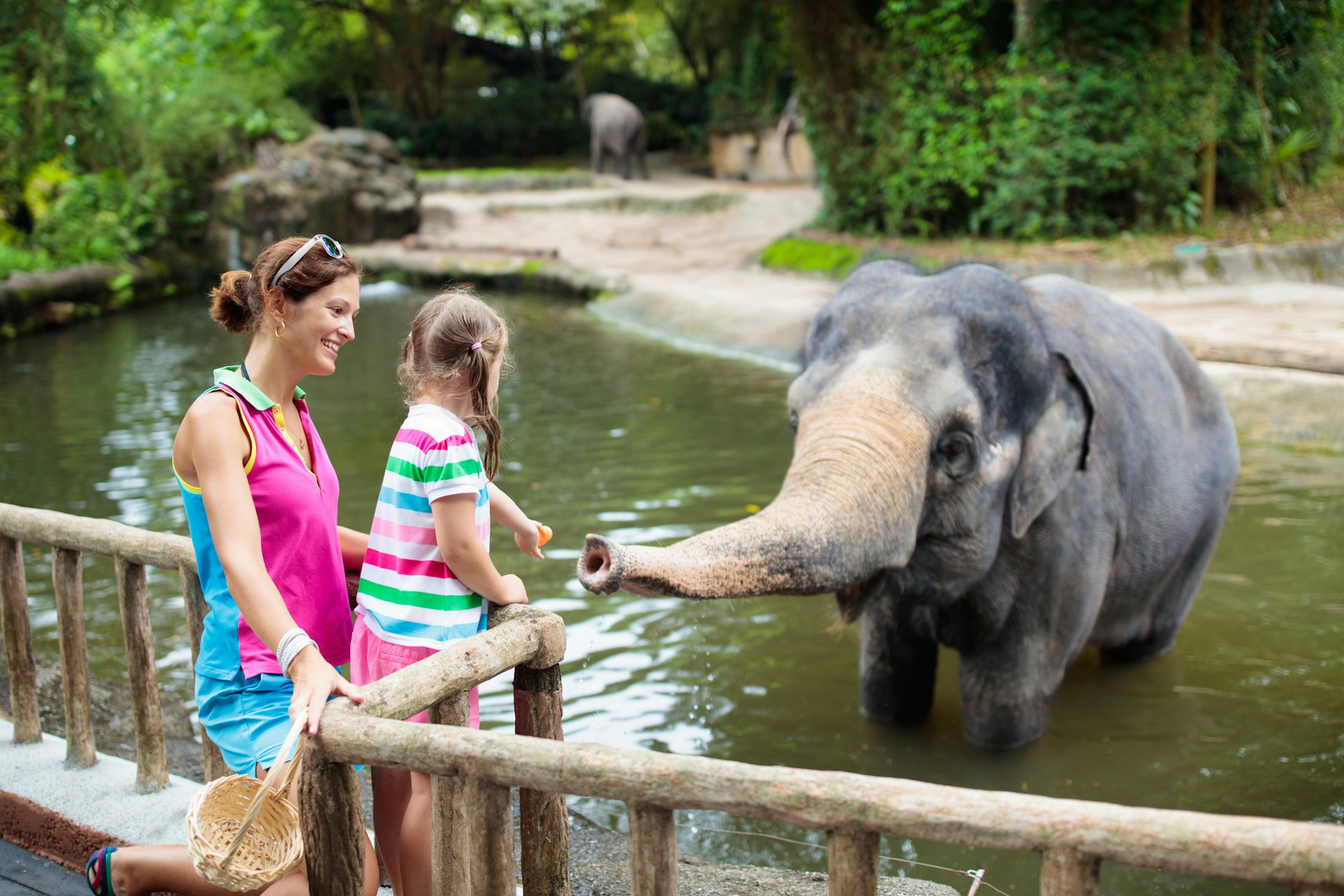 Op avontuur in Safaripark Beekse Bergen