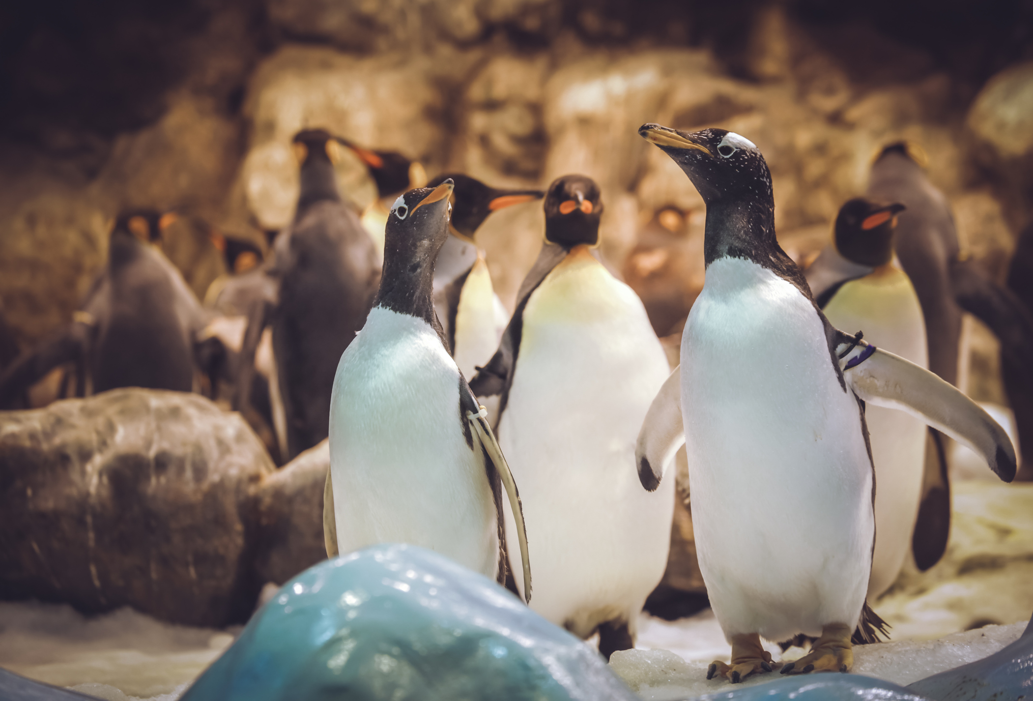 Op avontuur naar WILDLANDS Emmen
