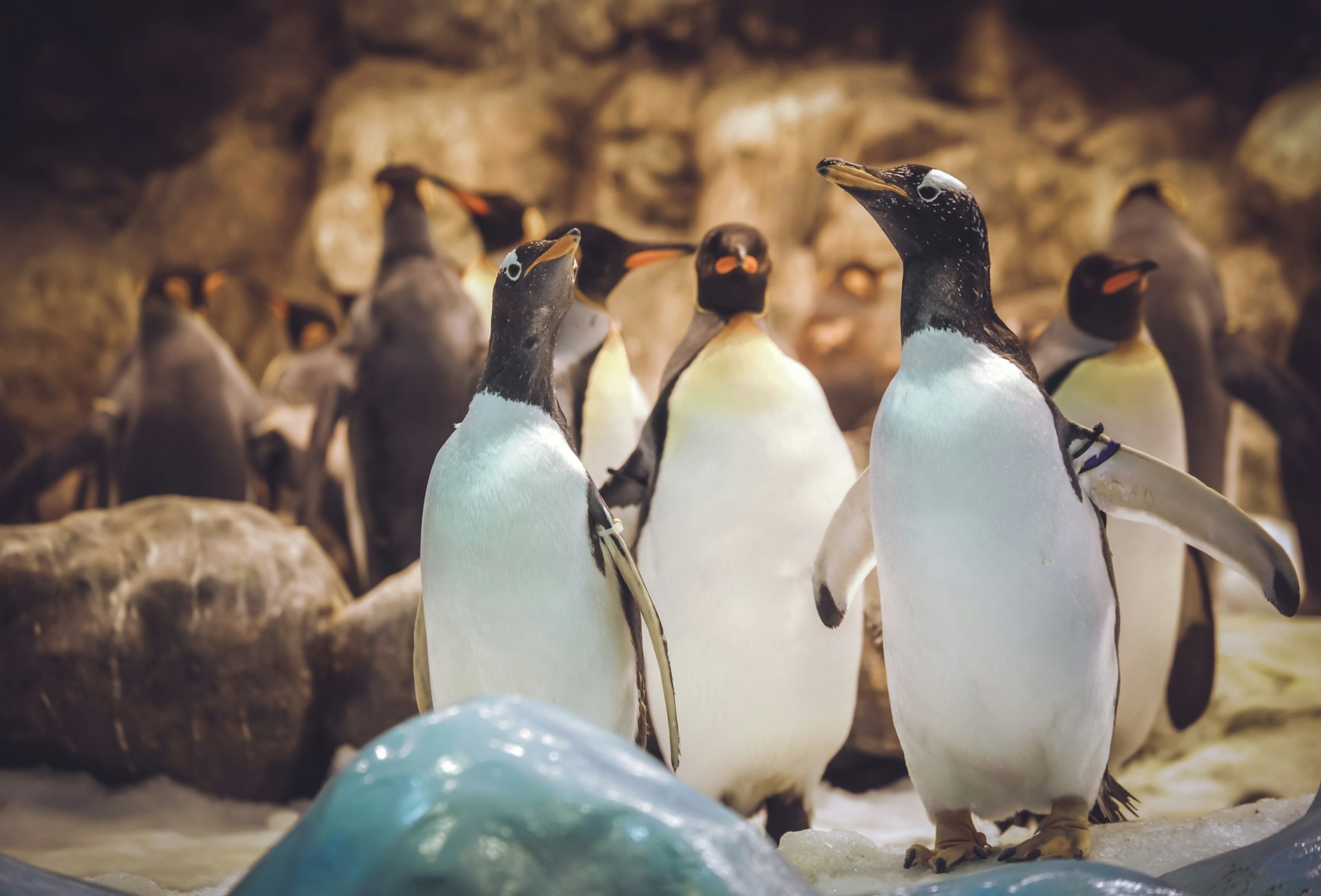 Op avontuur naar WILDLANDS Emmen