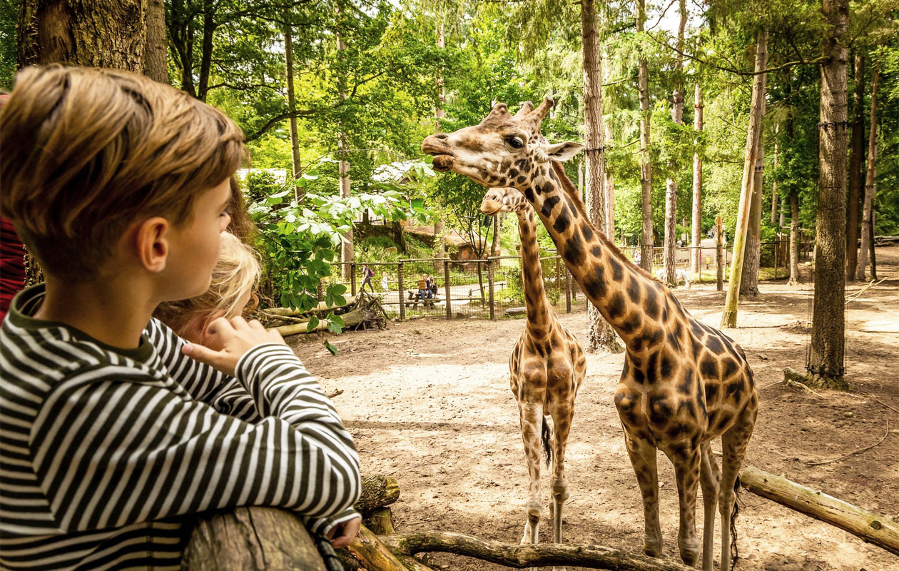 Op pad naar DierenPark Amersfoort