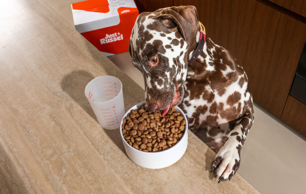 Op maat gemaakte honden- en kattenvoer van Just Russel