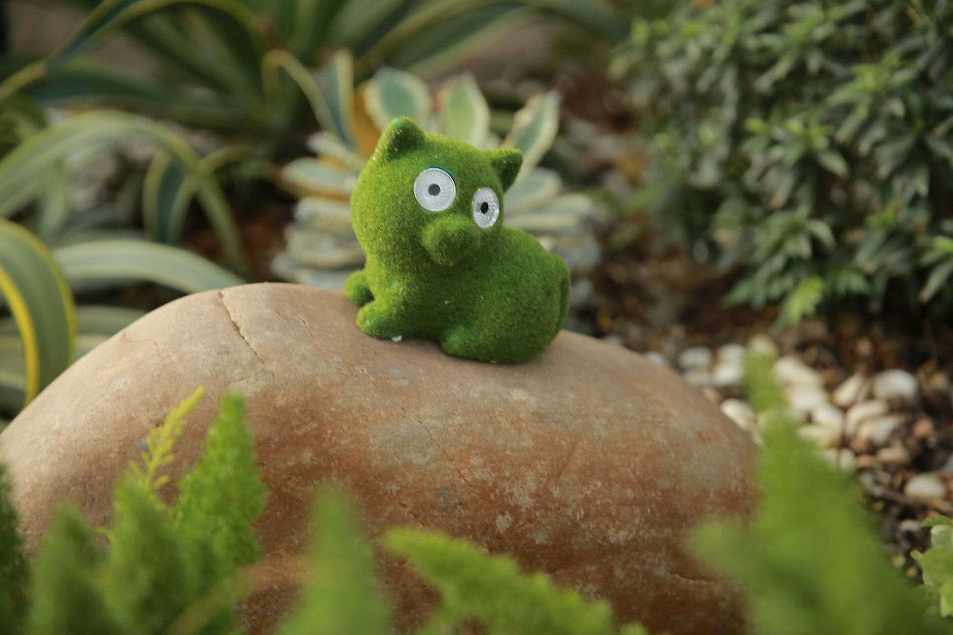 Hyundai Lighting - Dieren buitenlampen - set 1 Kat Kikker Slak