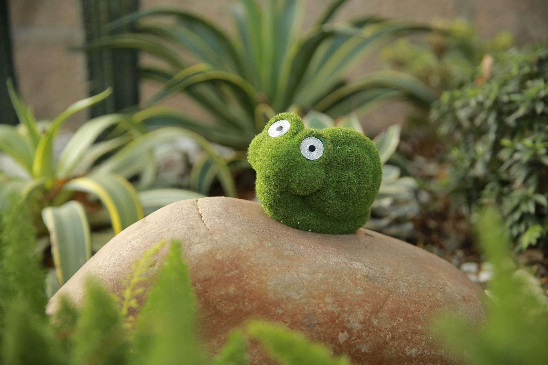 Hyundai Lighting - Dieren buitenlampen - set 1 Kat Kikker Slak