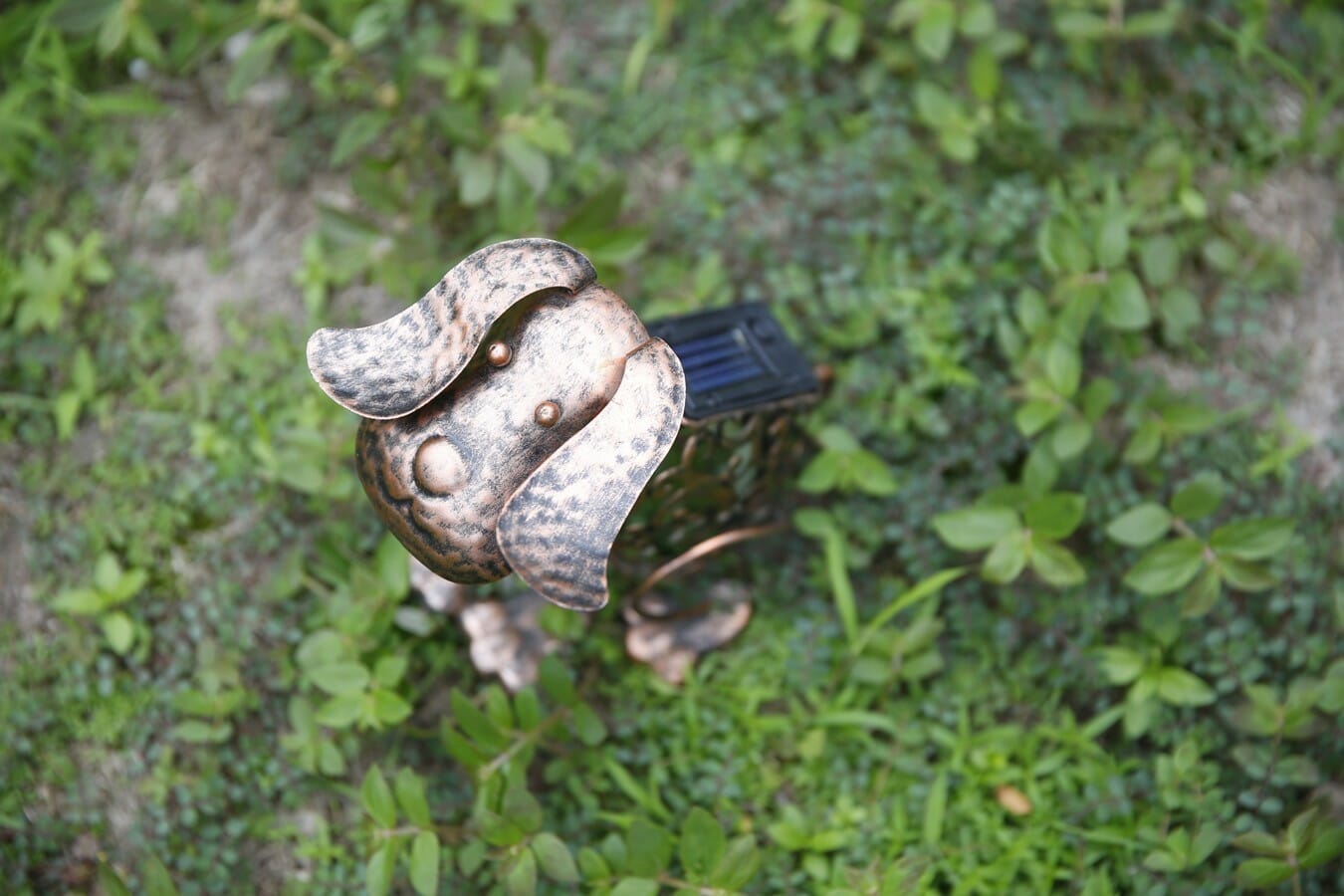 Hyundai Lighting - Honden Lampen op Zonne-energie - 2 Stuks