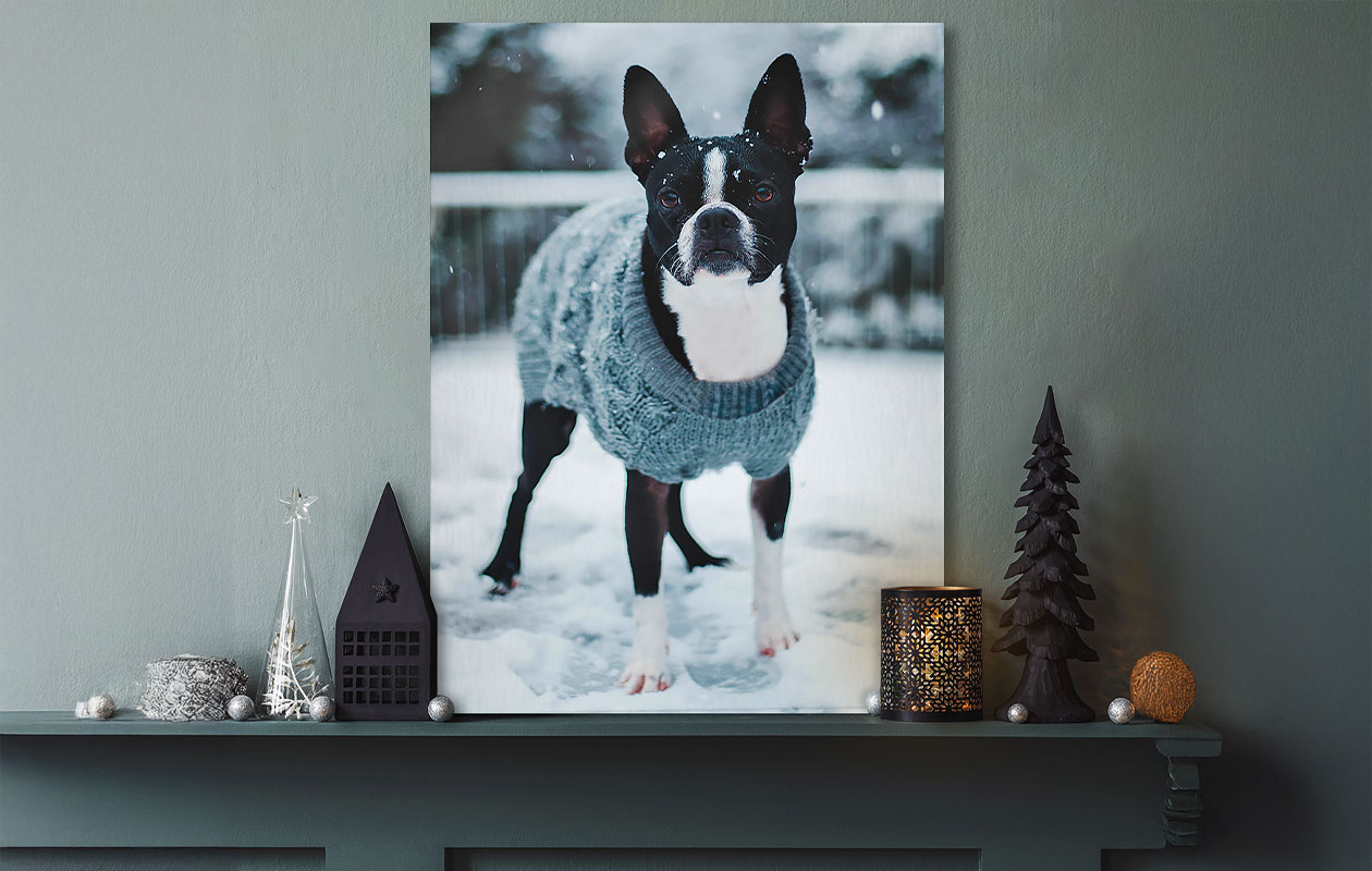 Ontvang €65 korting op een foto op aluminium 80 x 60 cm