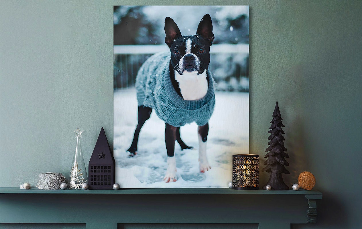 Bénéficiez de 65€ de réduction sur une photo sur aluminium 80 x 60 cm