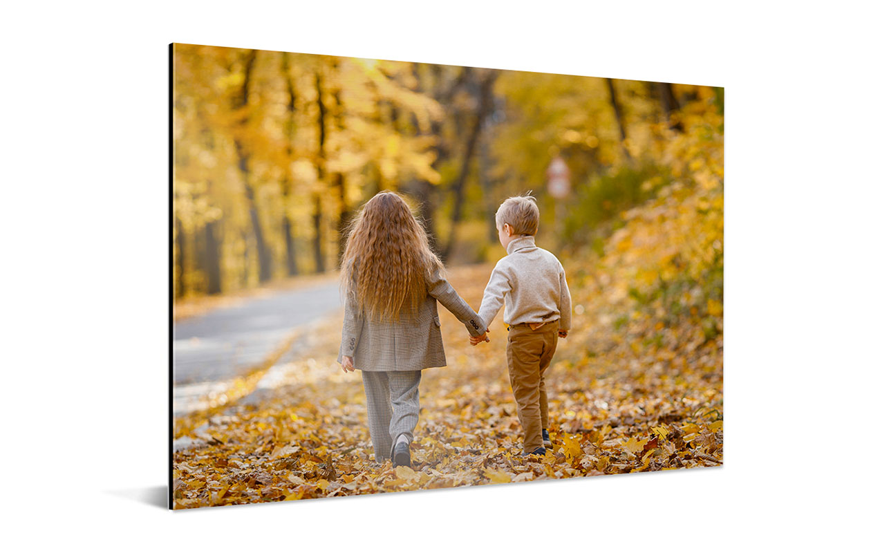 Ontvang €110 korting op jouw foto op aluminium 100 x 70 cm