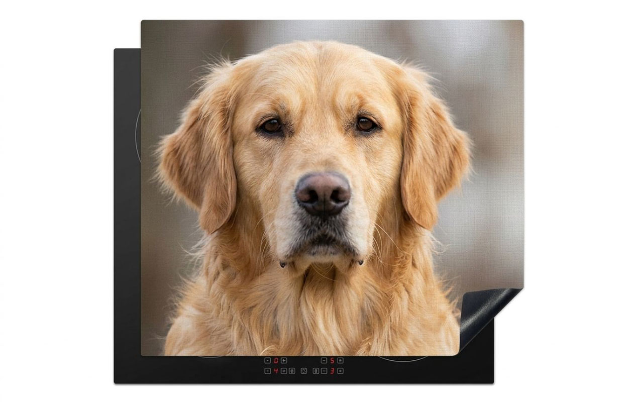 €55 korting op een inductiebeschermer met eigen foto (keuze uit 50 maten)