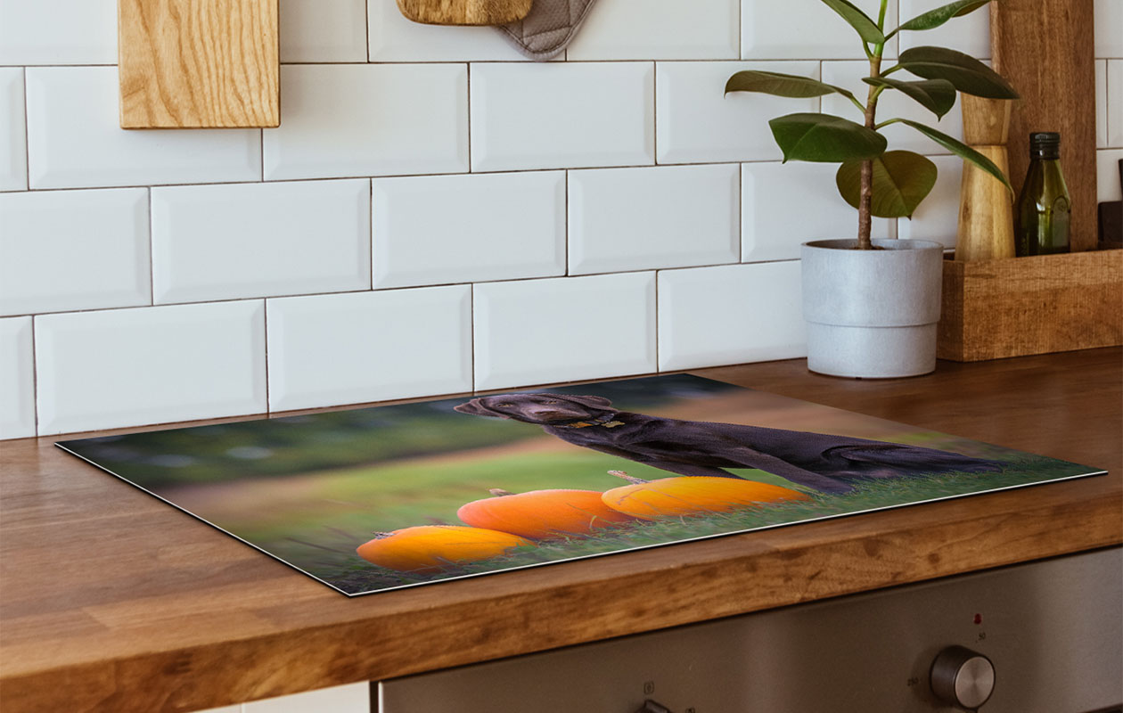 Ontvang €55 korting op een inductiebeschermer met foto (kies uit 50 formaten)