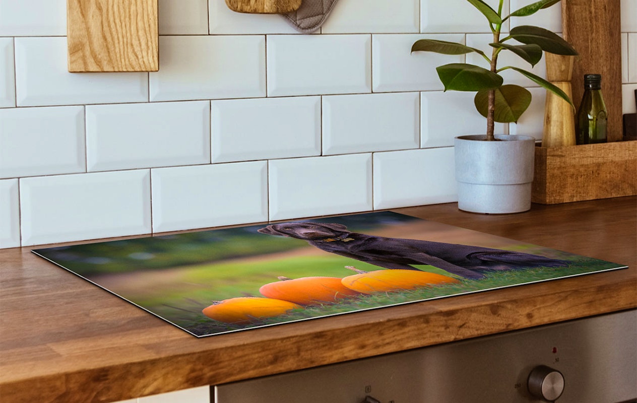 Bon de réduction de 55 € sur une Protection Induction Personnalisée