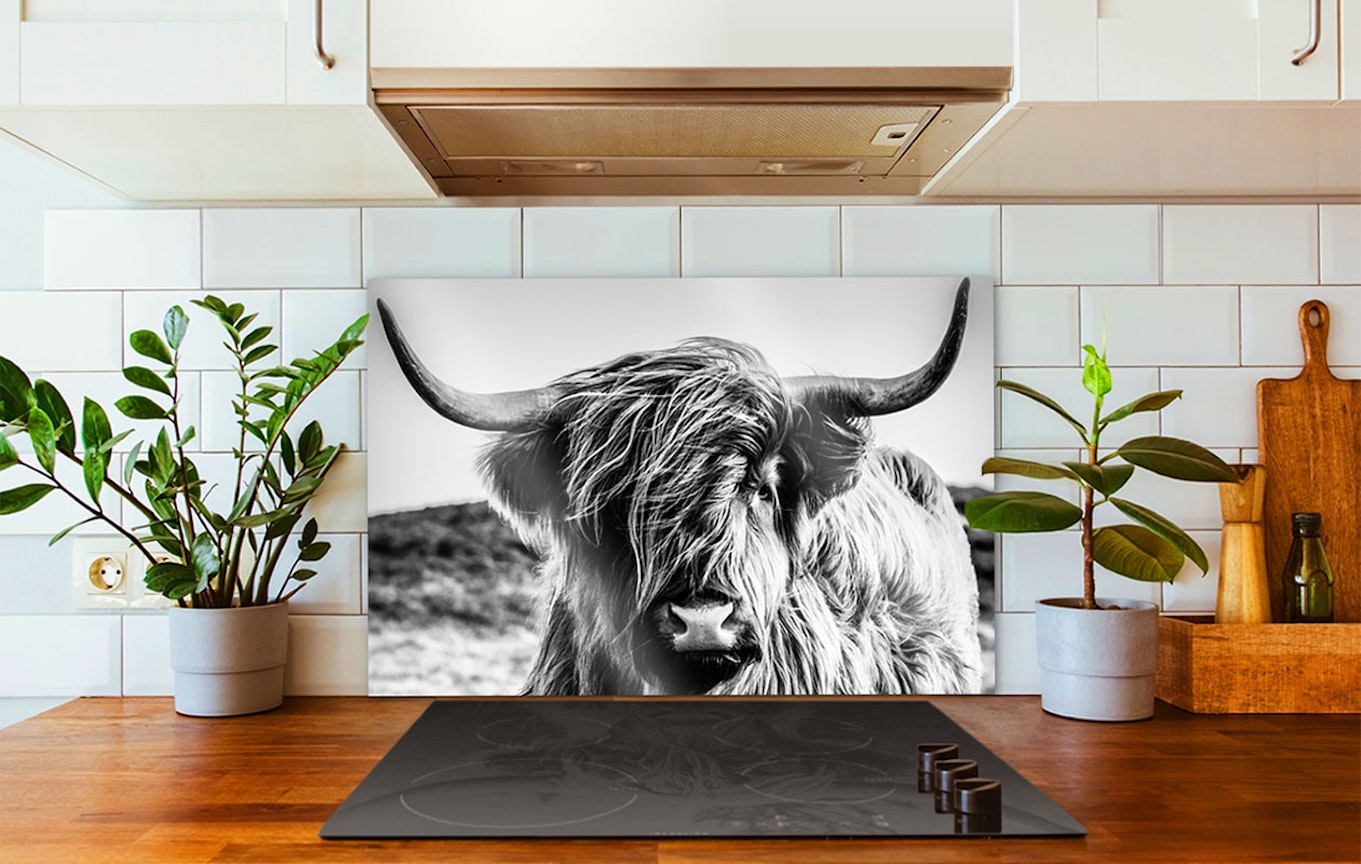 Ontvang €100 korting op een spatscherm (60 x 40 cm)