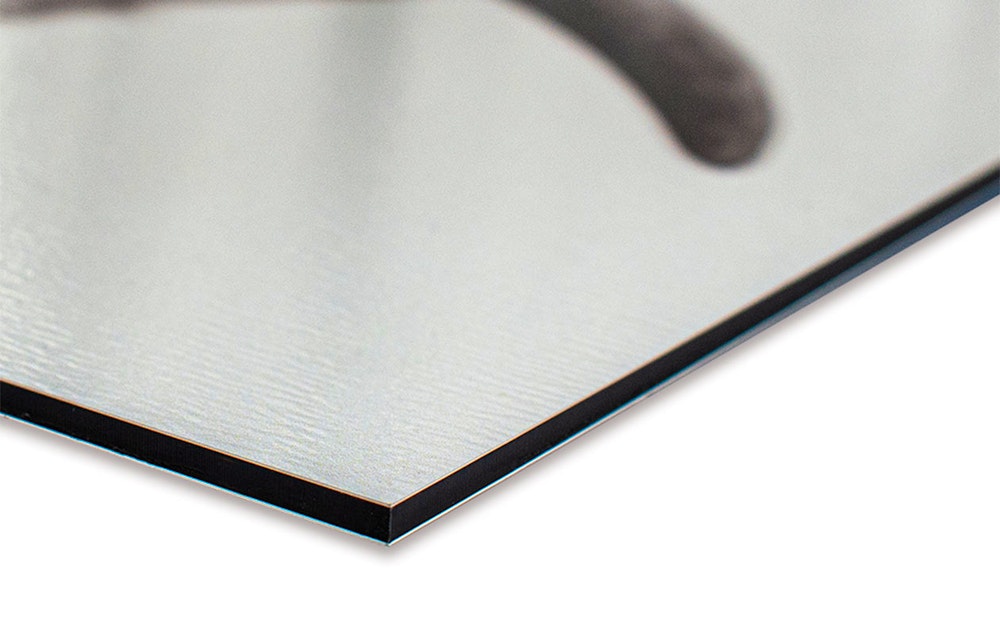 Ontvang €100 korting op een spatscherm (60 x 40 cm)