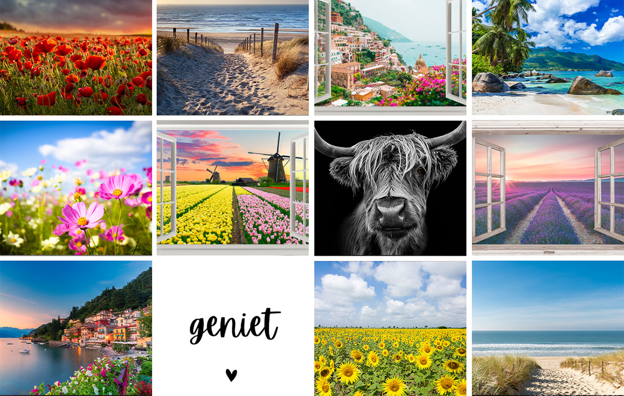 Ontvang €49 korting op een tuinposter naar keuze (120 x 80 cm)