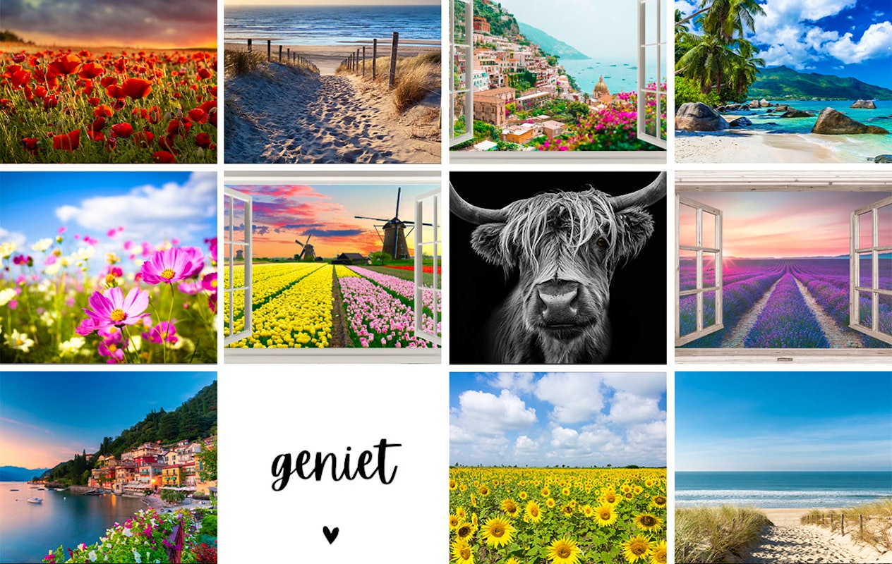 Recevez 49 € de réduction sur une affiche de jardin au choix (120 x 80 cm)