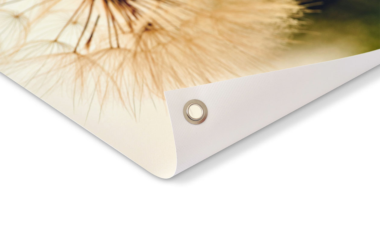 Ontvang €49 korting op een tuinposter naar keuze (120 x 80 cm)